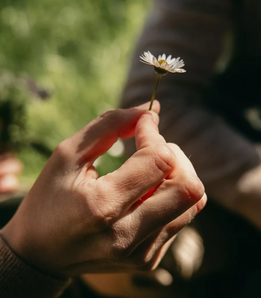 carte cadeau à offrir pour une séance photo à lyon